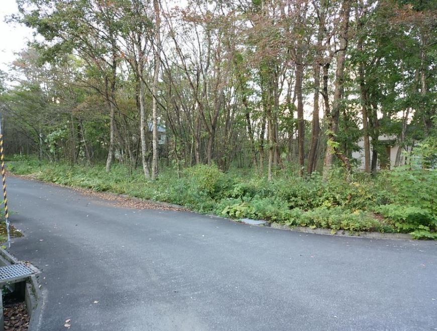 宮城県加美町の一戸建て | 260万円 | 1028.65m² | Akiyama house finder