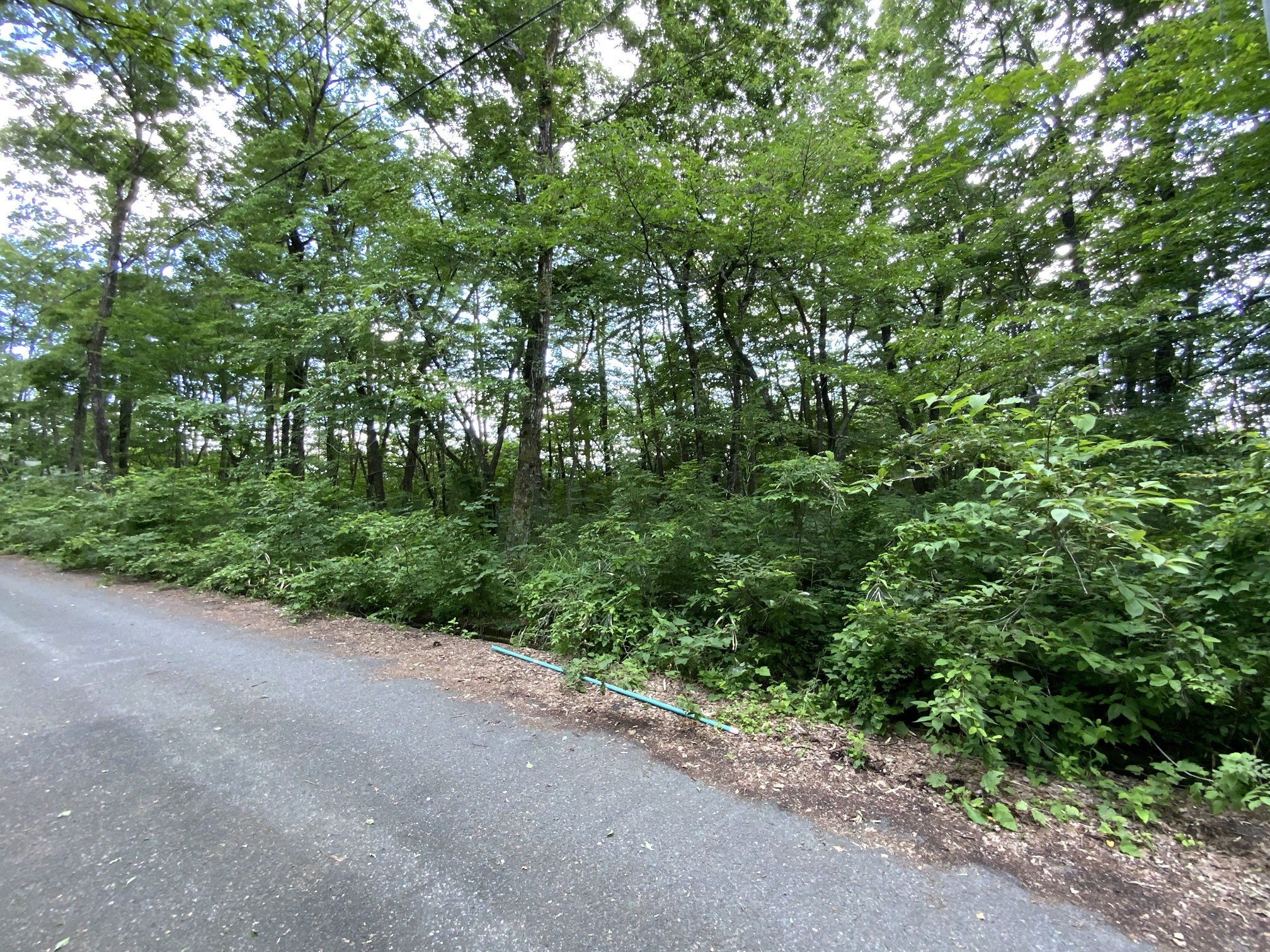 宮城県加美町の一戸建て | 500万円 | 1026m² | Akiyama house finder